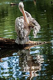 传《龙腾世纪：影障守护者》销量只有50万 仅是《星球大战：亡命之徒》的一半